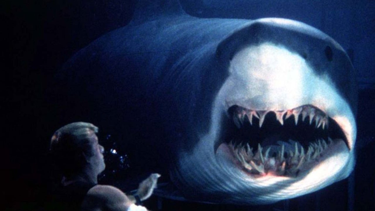 The Best Shark Movies That Aren’t Jaws The Good in Movies